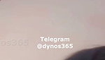 Dynos365 chamet collection – 416