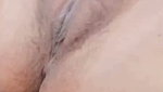 Dynos365 chamet collection – 418