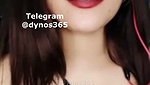 Dynos365 chamet collection – 445
