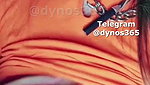 Dynos365 chamet collection – 461