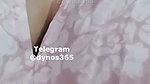 Dynos365 chamet collection – 497