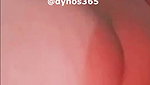 Dynos365 chamet collection – 505