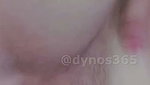 Dynos365 chamet collection – 70
