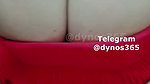 Dynos365 chamet collection – 99