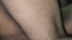 Bluegill _bangla