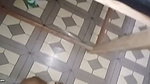 I was being checked out and fucked doggy-style as I pleased