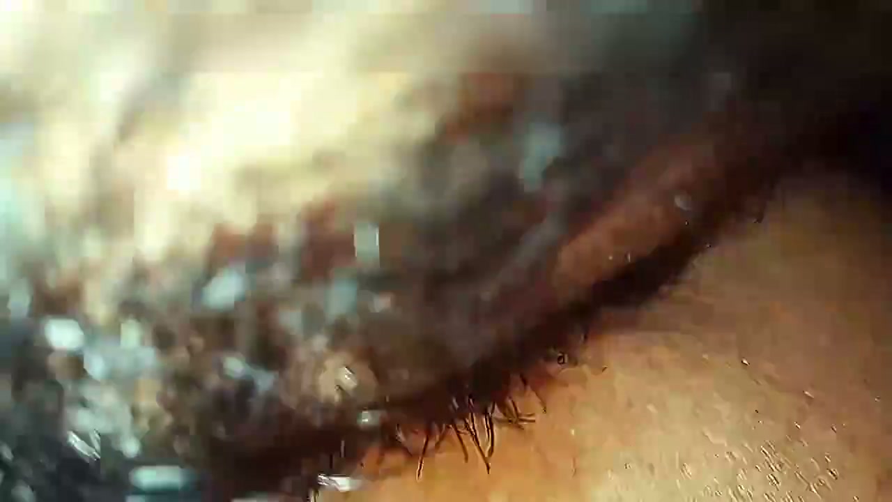 Frame 6