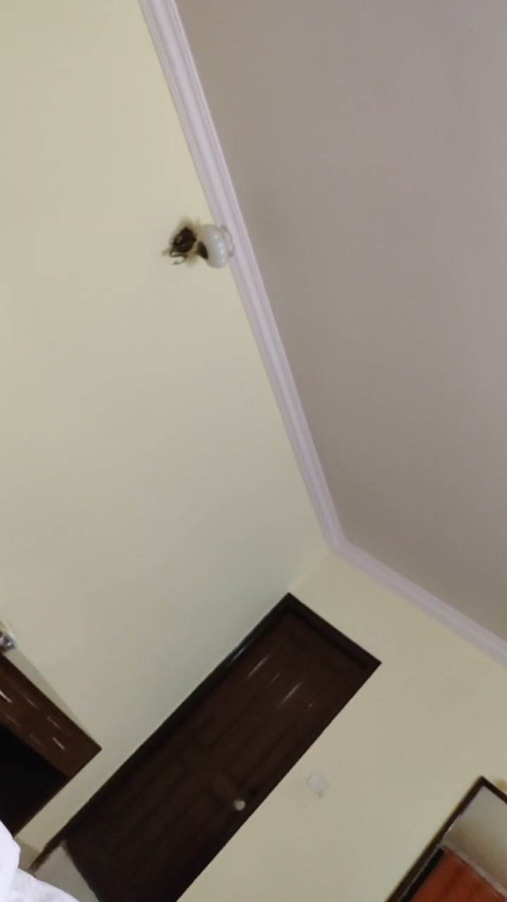 Frame 8