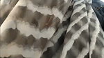 Pvt Face TightAss Potty 12Min DirtyTalk Fingering211
