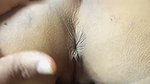 Assamese divorce wife rendy