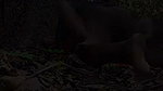 Enjoying Sex in the Forest with Sister-in-law