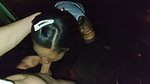 My First Time Fucking with a Follower