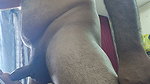 Sexy teen chubby girl sucking my bull