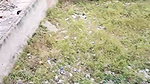 My big step sister was angry_ we shared single bed bangli Sex