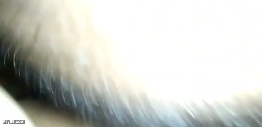 Frame 2
