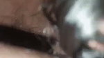 My pussy got wet when stepbrother fucked me