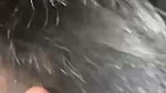 Sexy Bengali Girl Showing And Fucking Updates 2