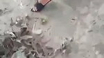 Sexy Girl Hot Boobs Give Deepthroat Blowjob Riding Fucking Hard Dogy updts 2