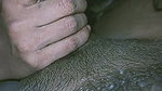 Ass Tamil Wife Sucking Husband Cock Pussy Licked And Fucking 7 Videos 1