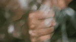 Ass Tamil Wife Sucking Husband Cock Pussy Licked And Fucking 7 Videos 1