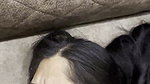 PUNJABI BHABHI NUDE GIVING BLOWJOB CUMS ON MOUTH ~ UPDATES 5 CLIPS 4