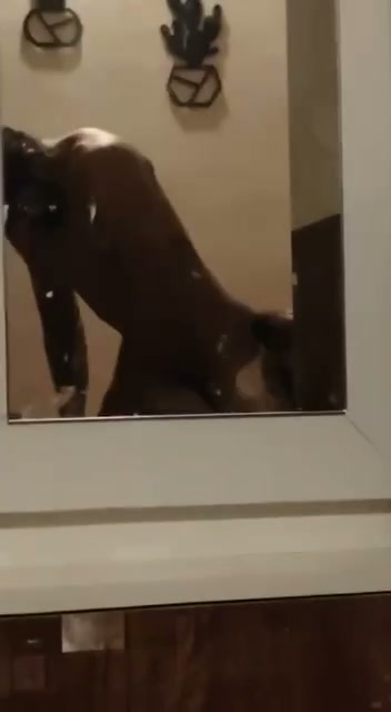 Frame 9