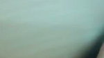 BUSTY INDIAN TANKER BABE STRIPPING NUDE FINGERING ~ MANY CLIPS 7