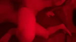 Horny Indian Babe Hard Threesome Fucking Updates 3