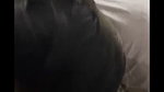 Beautiful Sexy Babe Sloppy Blowjob Taking Cum In Mouth