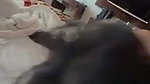 Beautiful Bigboob Sexy Indian Baddie Blowjob Riding On Bf Moaning