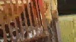 Desi local randi