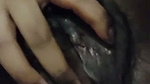 Hairy Pussy Horny Tamil Girl