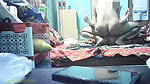 Cute Cheater Girl Hard Fucking Like A Whore Moaning New Long Sex Clips 2