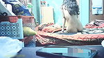 Cute Cheater Girl Hard Fucking Like A Whore Moaning New Long Sex Clips 5