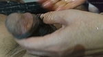 1st Part Dick Massage