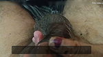 1st Part Dick Massage