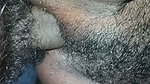 New wife sex videos viral