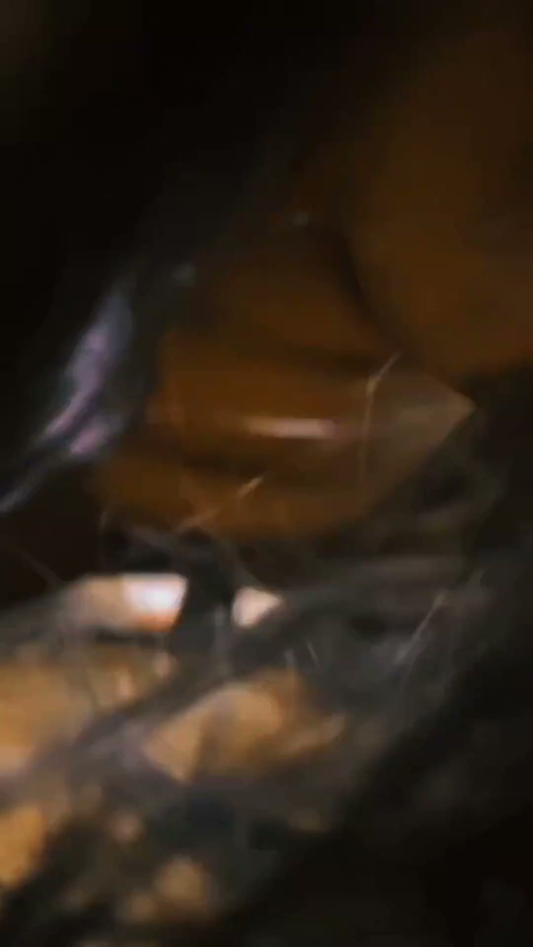 Frame 9