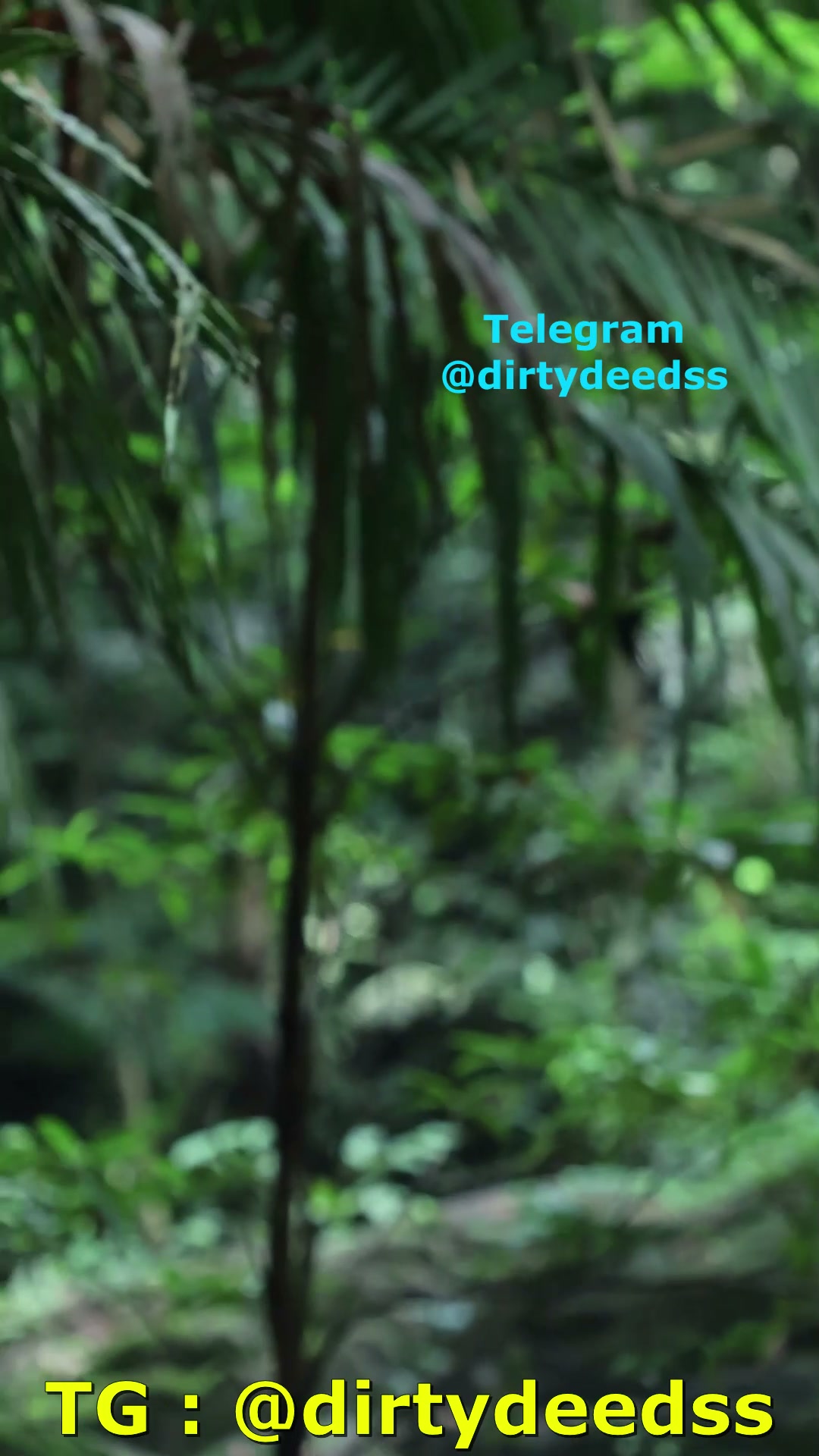 Frame 8