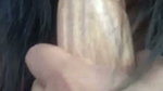Model group video collection – 186