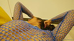 Tight Pussy Baby 2023 Poonam Pandey 1080p
