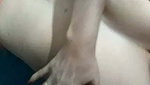– RAJSI – LIVE