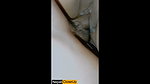 Asian Creampie Compilation