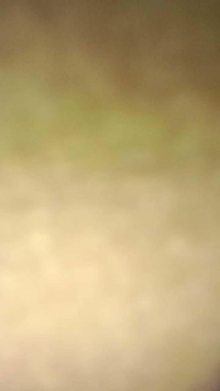 Frame 9