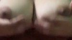 Blacktits