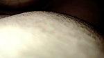 Convinced Stepsister for Sex and Fucked Her Pussy Fucking Her All Night Long