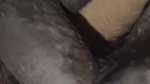 Dears Today I Show My Milky Boobs Shaking