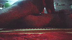Fucking My Moaning Neighbour Softly