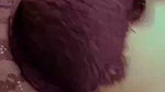 Sexy Bengali Hot Gf Teasing 2 5