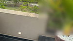 wife Fucked by HUBBY at poolside Openly 2